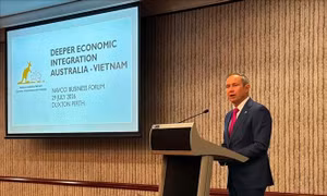 Tăng cường chuỗi cung ứng và chuyển đổi năng lượng giữa Việt Nam - Australia