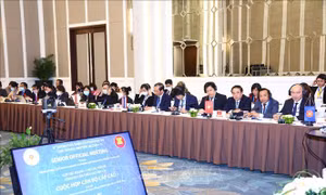 Cuộc họp cán bộ cấp cao Hợp tác ASEAN về các vấn đề công vụ lần thứ 21