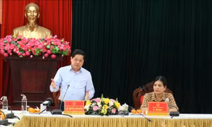 Xây dựng tỉnh Kon Tum trở thành đầu tàu về phát triển sâm Ngọc Linh