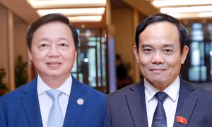 Nghị quyết của Quốc hội về công tác nhân sự