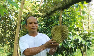 Giải pháp giảm nghèo bền vững ở huyện miền núi Khánh Sơn