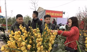 Sắc xuân ngập tràn Thành Đông