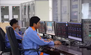 Hỗ trợ doanh nghiệp nâng cao năng lực số hóa