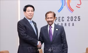 Phát triển hơn nữa quan hệ thực chất Việt Nam - Brunei
