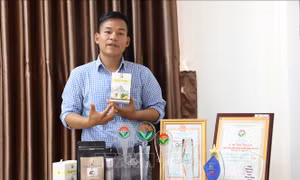 Khát vọng nâng tầm thương hiệu cà phê Ê Đê
