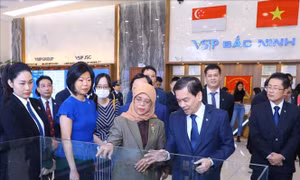 Tổng thống Singapore Halimah Yacob thăm và làm việc tại Khu Công nghiệp VSIP Bắc Ninh