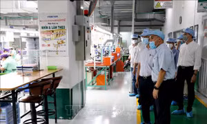 Kiểm tra công tác phòng, chống dịch COVID-19 tại các nhà máy ở Đà Nẵng