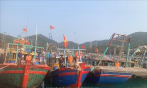 Bộ đội Biên phòng Quảng Ninh bắt giữ 6 tàu khai thác thủy sản trái phép
