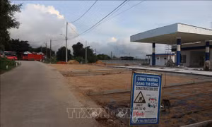 Quảng Ngãi: Nhiều dự án cửa hàng xăng dầu chậm tiến độ kéo dài, gây lãng phí đất