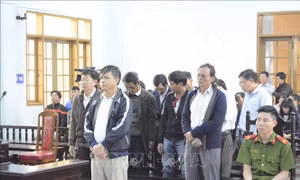 Tuyên án 12 đối tượng sai phạm trong quản lý đất rừng ở Gia Lai