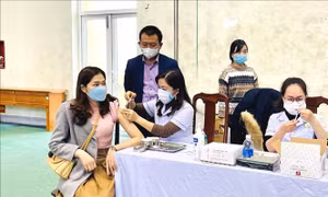 Tăng cường phòng dịch COVID-19, đảm bảo phát triển kinh tế - xã hội