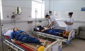Vụ nghi ngộ độc tại bếp ăn Công ty Cổ phần đóng tàu Sông Cấm: Các bệnh nhân đã hồi phục 