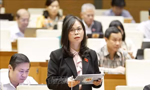 Phân loại rác tại nguồn là giải pháp căn cơ, bảo vệ môi trường bền vững