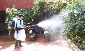 TP Hồ Chí Minh: Kêu gọi người dân phản ánh nơi có nguy cơ gây sốt xuất huyết