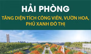 Hải Phòng tăng diện tích công viên, vườn hoa, phủ xanh đô thị