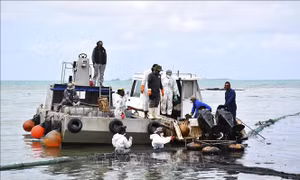 Các chuyên gia của LHQ đến Mauritius hỗ trợ ngăn chặn sự cố tràn dầu