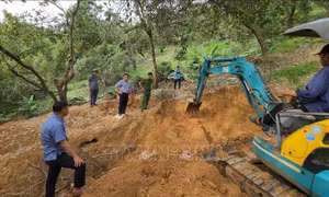Xử lý hành vi khai thác vàng trái phép ở Phú Riềng, Bình Phước