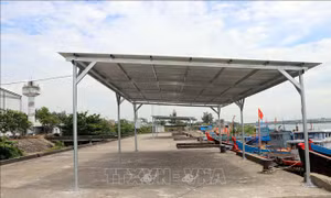 Nghịch lý cảng cá trăm tỷ, ngư dân vẫn phải neo nhờ
