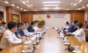 Phú Thọ và Ngân hàng Tái thiết Đức trao đổi phương án xử lý nước thải khu bờ trái sông Đà