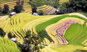 Kết nối du lịch Hà Nội - Sơn La