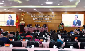 Lào Cai: Hỗ trợ học phí cho trẻ mầm non công lập vùng dân tộc thiểu số và miền núi