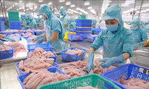 Sức khỏe tài chính doanh nghiệp trong đại dịch COVID-19 - Bài 1: Khu vực xây dựng, dịch vụ-du lịch chịu ảnh hưởng nặng nề nhất