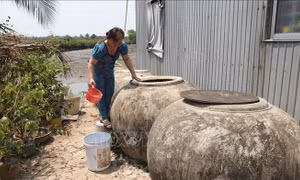 Cấp thiết ứng phó với hạn mặn, bảo vệ vùng sản xuất ở Cà Mau