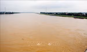Công điện chủ động ứng phó lũ lớn sông Thao, đảm bảo an toàn hồ Thác Bà