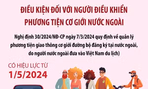 Điều kiện đối với người điều khiển phương tiện cơ giới nước ngoài