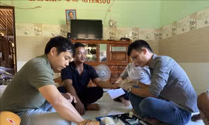 Việt Nam đã có 46 tỉnh, thành phố loại trừ được bệnh sốt rét