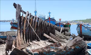 Ngổn ngang xác tàu cá mục nát tại cảng Sa Huỳnh