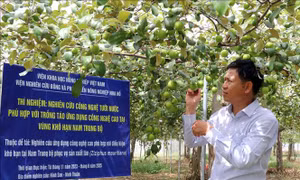 Nghị quyết 57-NQ/TW - Bước ngoặt mới cho phát triển nông nghiệp bền vững