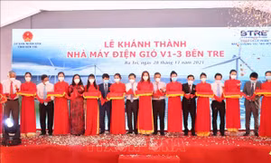 Nhà máy điện gió đầu tiên tại Bến Tre đi vào hoạt động
