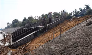 Thiên tai diễn biến bất thường, lo nhất là đê điều không đảm bảo