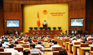 Cử tri Thái Bình kiến nghị cần quyết liệt hơn nữa để chính sách hỗ trợ sớm đến được với doanh nghiệp