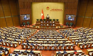 Nổi bật tuần qua: Kỳ họp bất thường lần thứ 9 quyết định nhiều vấn đề cấp bách