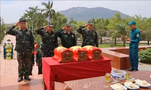 Kiện toàn lực lượng tìm kiếm, quy tập hài cốt liệt sĩ