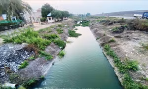 Nước thải từ vùng nuôi trồng thủy sản nguy cơ gây ô nhiễm nguồn nước