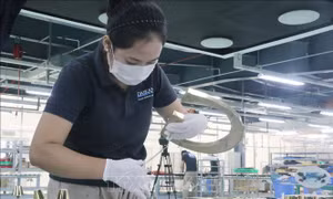 Đồng Nai thành lập tổ công tác đặc biệt tháo gỡ khó khăn cho doanh nghiệp 
