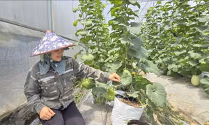  Ứng dụng công nghệ cao giúp nâng tầm quản trị và chất lượng sản phẩm