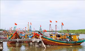 Nghệ An: Ngư dân làng biển Diễn Châu đồng loạt treo cờ Tổ quốc trên tàu, thuyền dịp Quốc khánh 2/9