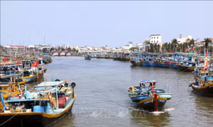 Nhân rộng mô hình ngư dân tự quản chống khai thác IUU