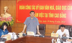 Đảm bảo chính sách, pháp luật cho sự nghiệp giáo dục - đào tạo, văn hóa thông tin