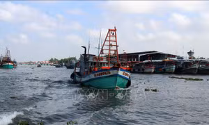 Ngư dân kỳ vọng chuyến biển đầu năm 'thuận buồm xuôi gió'