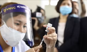 Bộ Y tế sẽ điều chuyển vaccine COVID-19 nếu địa phương, đơn vị tiêm chậm