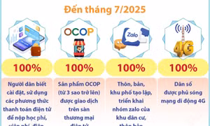 Quảng Ninh: Những kết quả nổi bật trong nâng cao năng lực số cho người dân