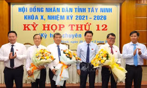 Phê chuẩn Phó Chủ tịch UBND tỉnh Tây Ninh