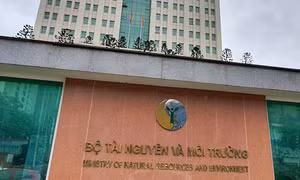 Thực hiện công vụ của Bộ Tài nguyên và Môi trường còn một số tồn tại, hạn chế