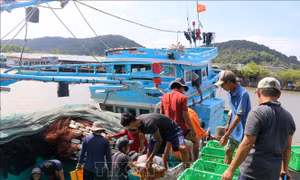 Phê duyệt Quy hoạch bảo vệ và khai thác nguồn lợi thủy sản