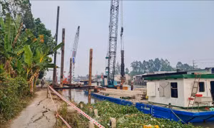 Rút ngắn tiến độ thi công đoạn kè 86 tỷ đồng ở Cần Thơ